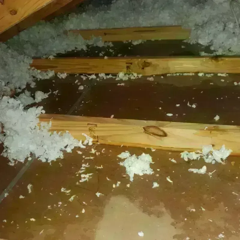 Attic Water Damage in Duxbury, MA